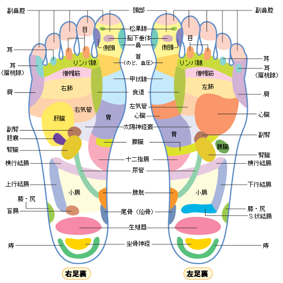 足つぼ