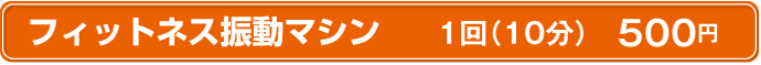 フィットネス振動マシン|1回(10分)500円
